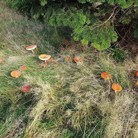 6 Person In Vaeggerlose