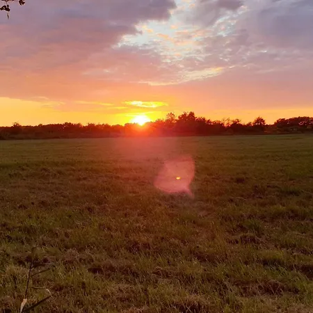 6 Person In Vaeggerlose Feriehus